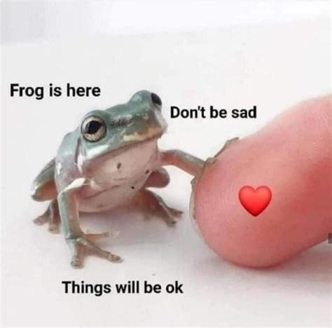 frogs meme|frog memes wholesome.